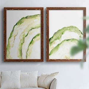 Lichen Halo I - Barnwood Framed Canvas Set