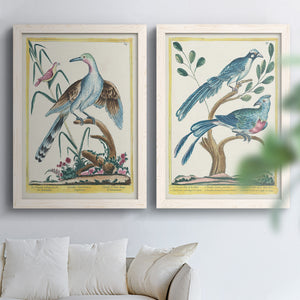Pastel Birds V - Barnwood Framed Canvas Set