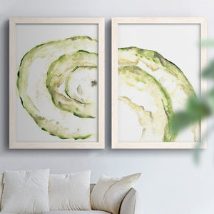 Lichen Halo V - Barnwood Framed Canvas Set