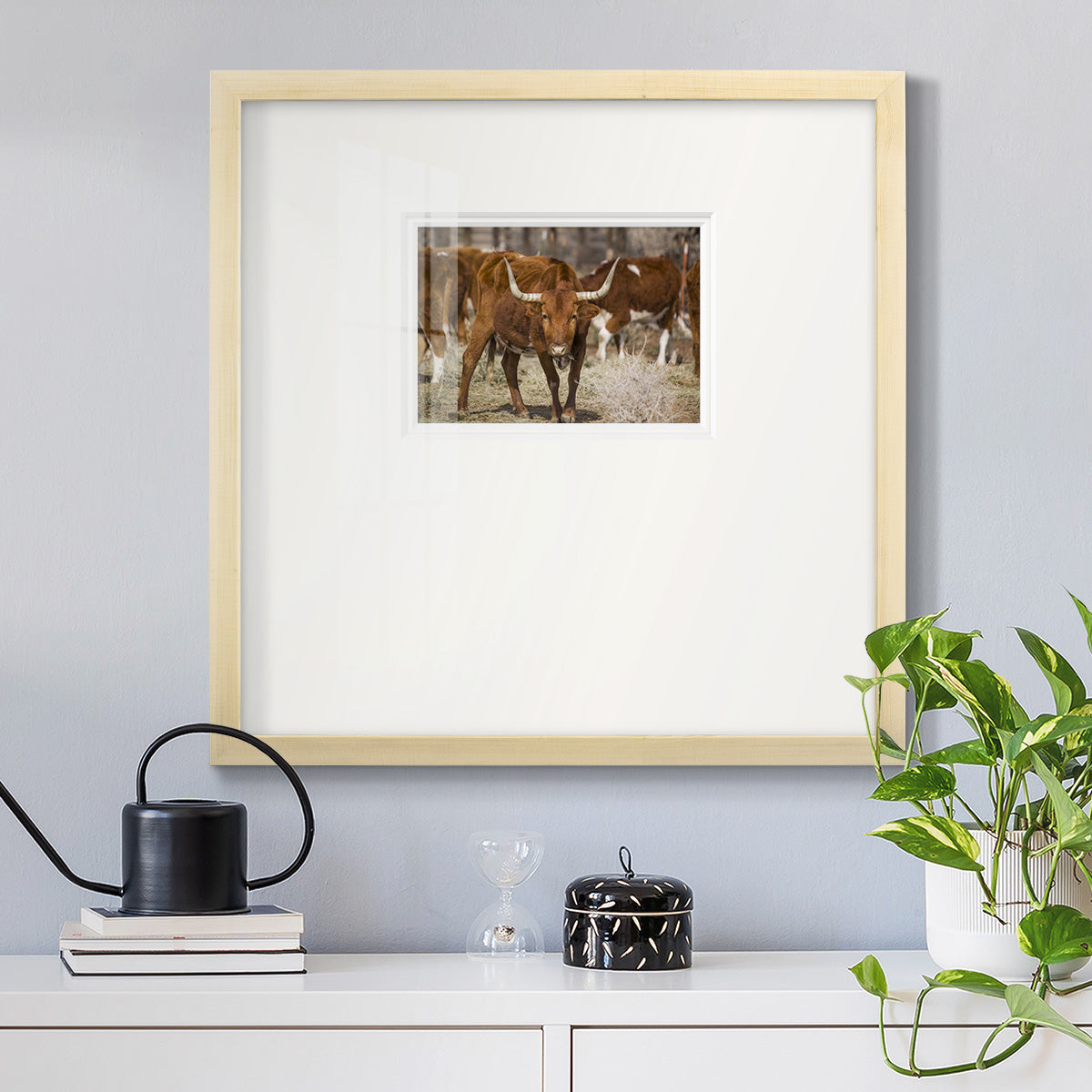 Longhorns- Premium Framed Print Double Matboard