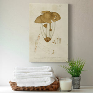 Mushroom Varieties V Premium Gallery Wrapped Canvas - Ready to Hang