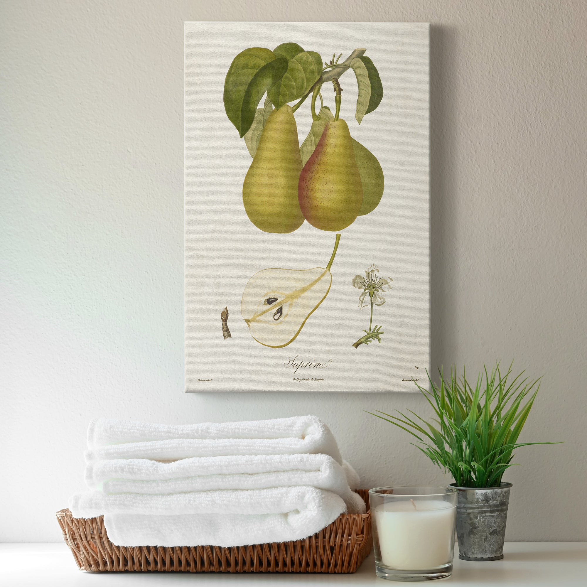 Vintage Pears V Premium Gallery Wrapped Canvas - Ready to Hang