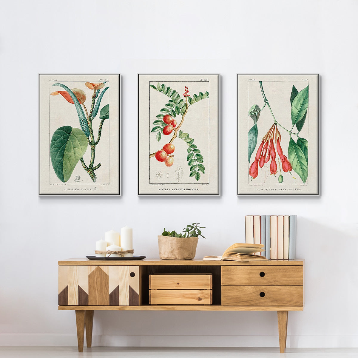 Turpin Tropical Botanicals I - Framed Premium Gallery Wrapped Canvas L Frame 3 Piece Set - Ready to Hang