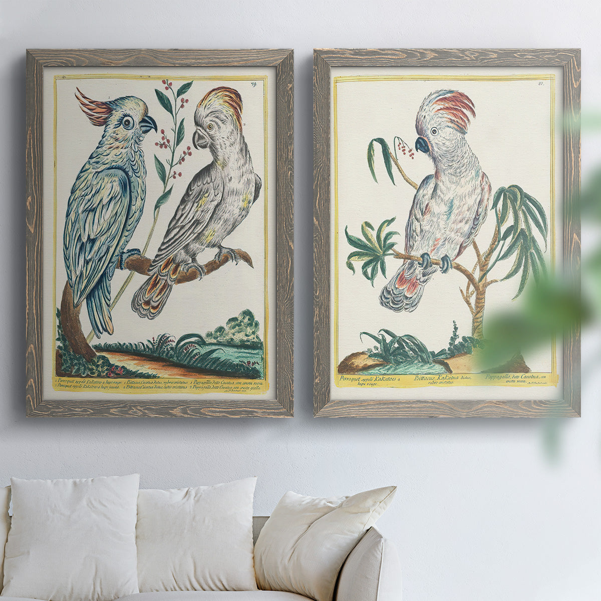 Pastel Birds I - Premium Framed Canvas 2 Piece Set - Ready to Hang