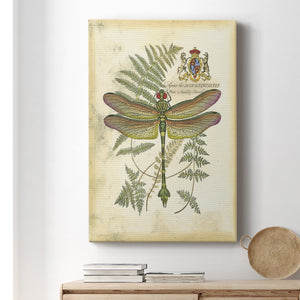 Regal Dragonfly III (PP)  - Canvas Art Print
