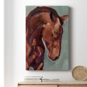 Paint by Number Horse II - Canvas Art Print