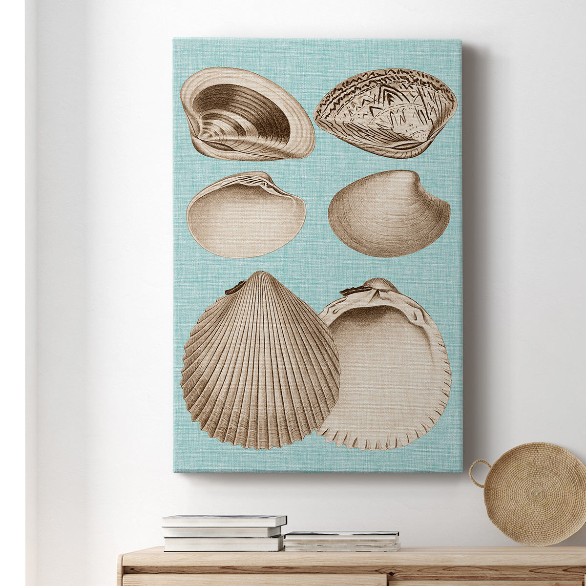 Sepia & Aqua Shells IX Premium Gallery Wrapped Canvas - Ready to Hang