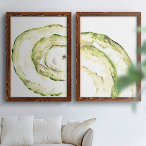 Lichen Halo V - Barnwood Framed Canvas Set