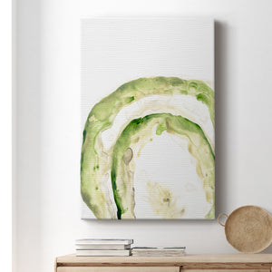 Lichen Halo IV - Canvas Art Print