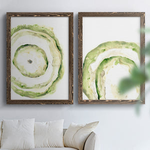 Lichen Halo III - Barnwood Framed Canvas Set