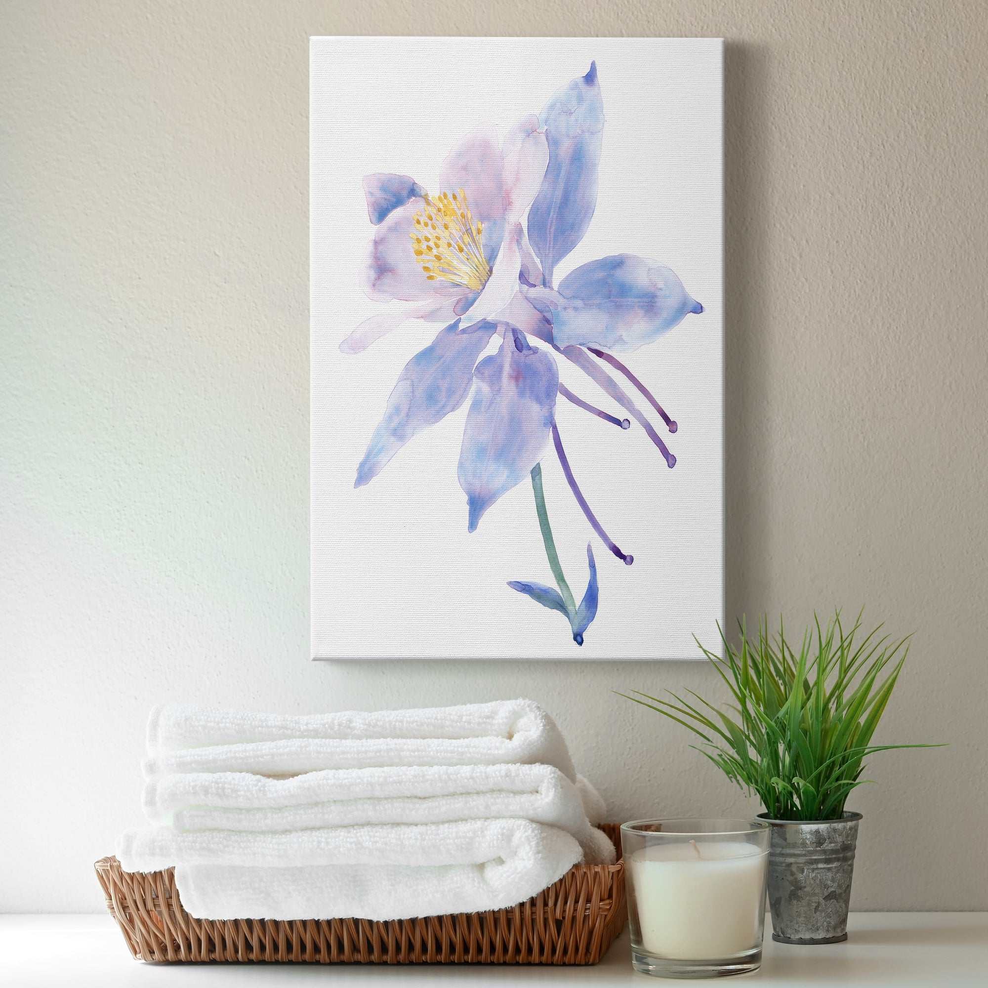 Columbine Bloom II Premium Gallery Wrapped Canvas - Ready to Hang