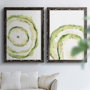 Lichen Halo III - Barnwood Framed Canvas Set
