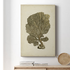 Sealife Collection VIII - Canvas Art Print
