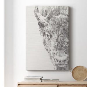 Graphite Bison Portrait I - Canvas Art Print