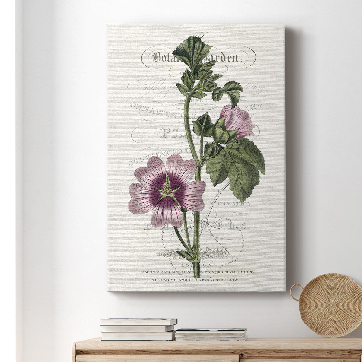 Flower Garden Varietals IV Premium Gallery Wrapped Canvas - Ready to Hang