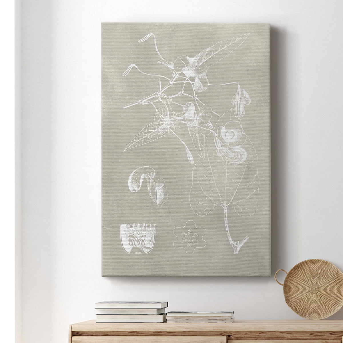 Botanical Schematic I Premium Gallery Wrapped Canvas - Ready to Hang