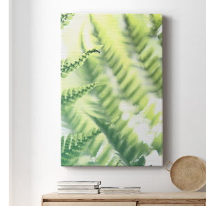 UA Fern Glow VI Premium Gallery Wrapped Canvas - Ready to Hang