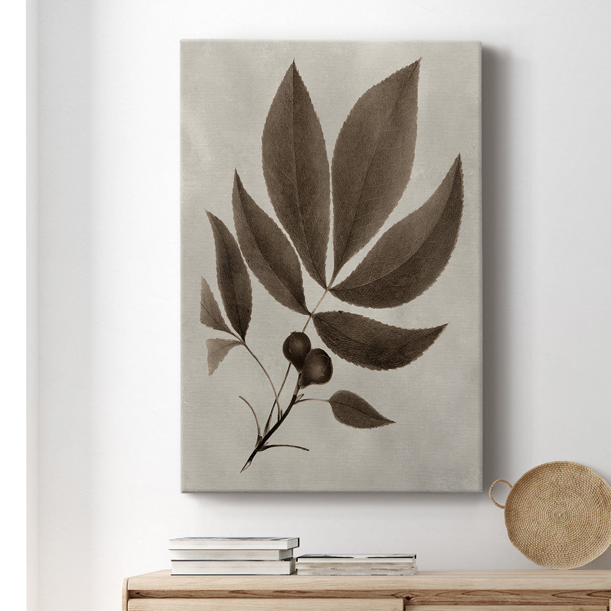 Arbor Specimen V Premium Gallery Wrapped Canvas - Ready to Hang