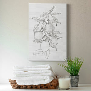 Fruit-Bearing Branch I - Canvas Art Print