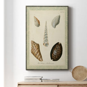 Bookplate Shells IX Premium Gallery Wrapped Canvas - Ready to Hang