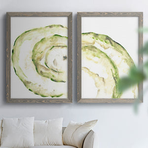 Lichen Halo V - Barnwood Framed Canvas Set