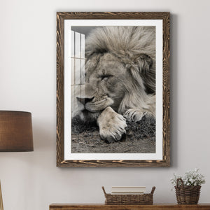 Sleepy Afternoon in Masai Mara - Barnwood Framed Art Print