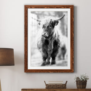 Yorkshire Highland - Premium Framed Print - Distressed Barnwood Frame - Ready to Hang