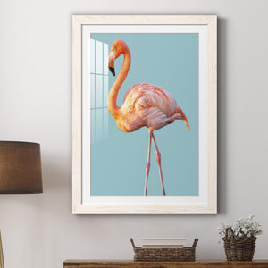 Flamingo - Barnwood