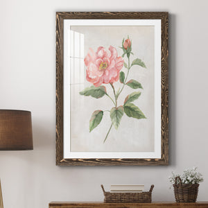 Grandiflora II - Barnwood Framed Art Print
