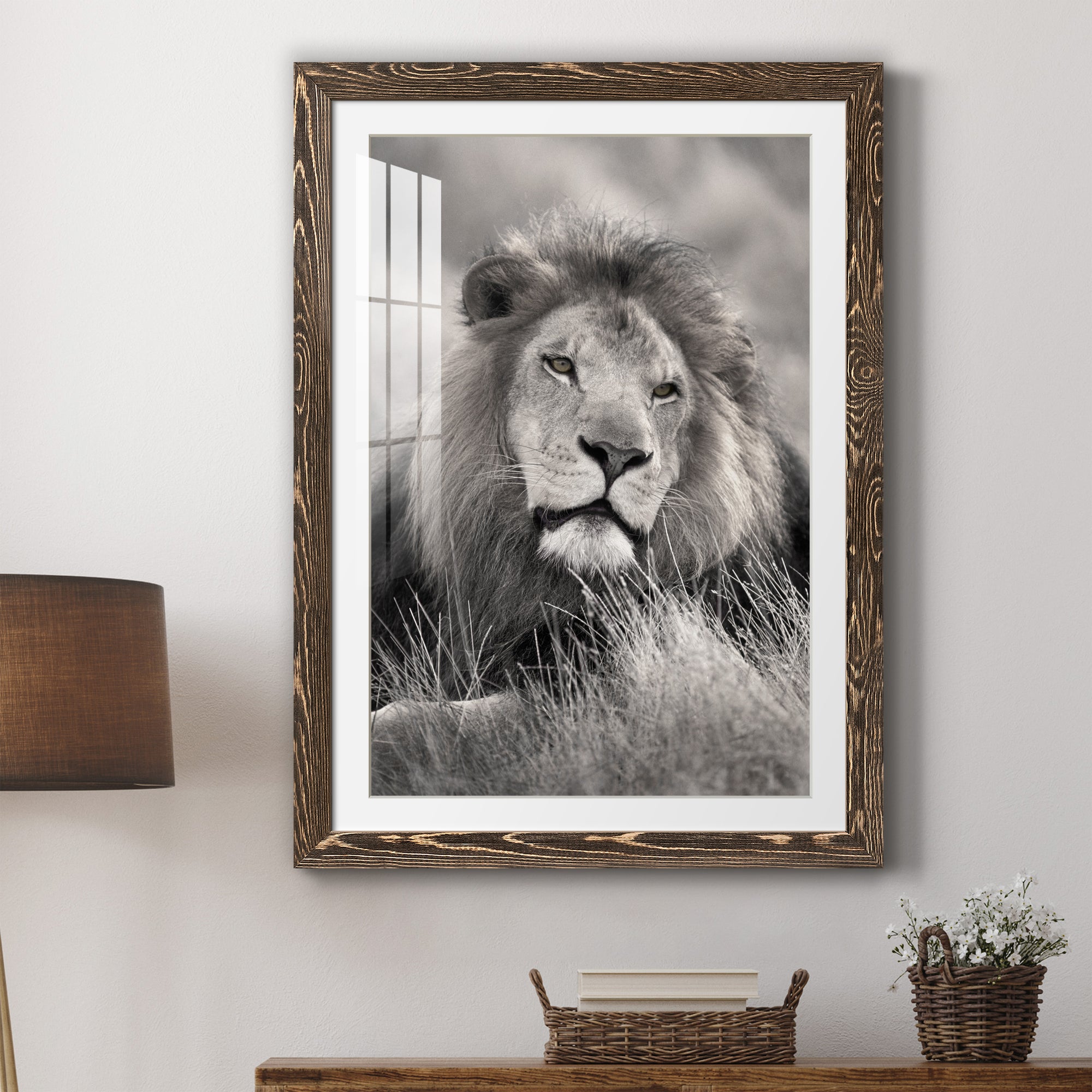 Pride of the Pride - Barnwood Framed Art Print