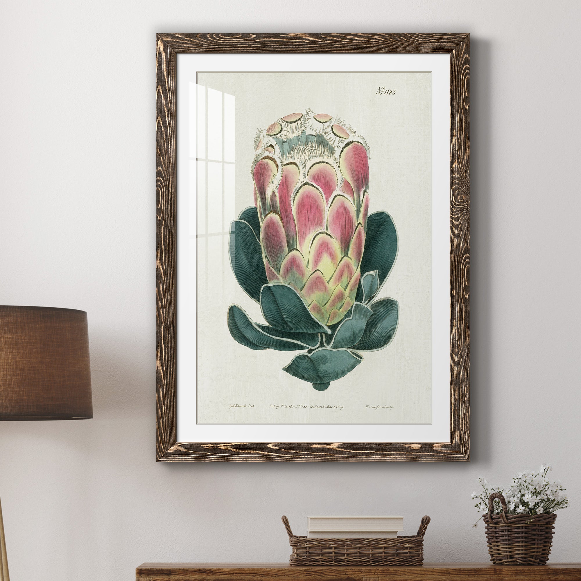 Protea N83 - Barnwood Framed Art Print