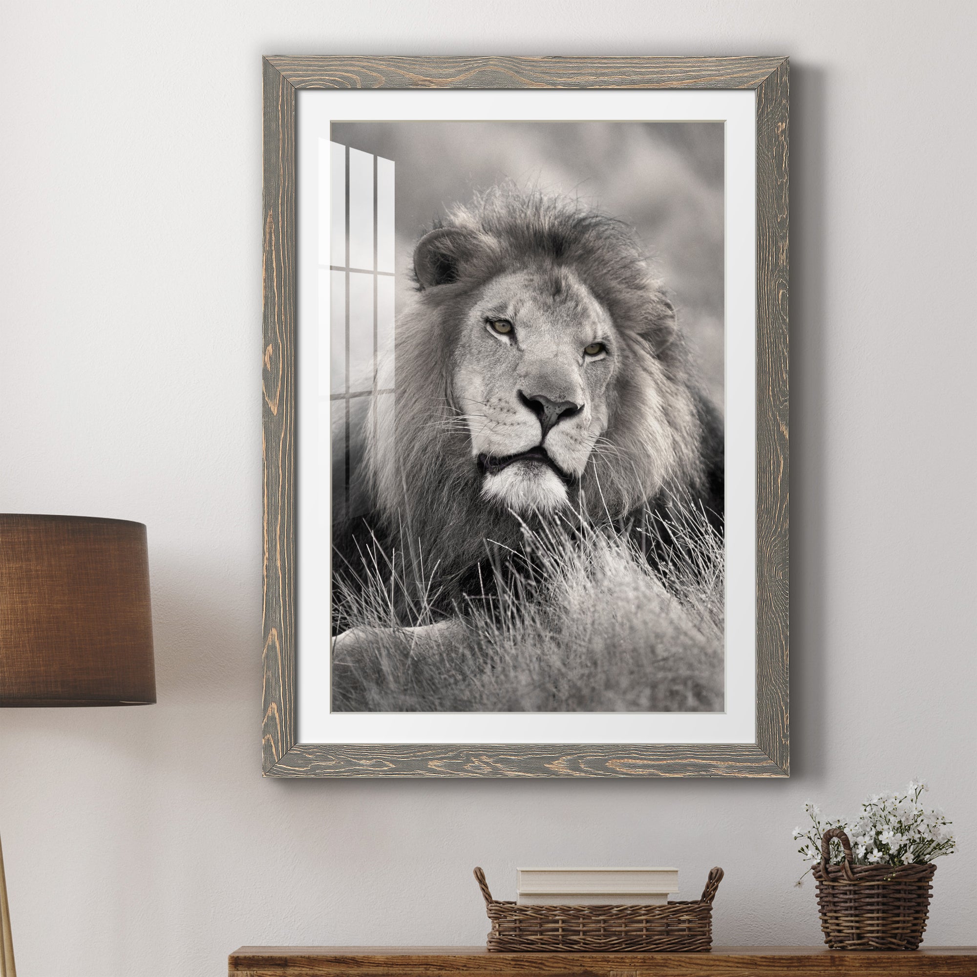 Pride of the Pride - Barnwood Framed Art Print