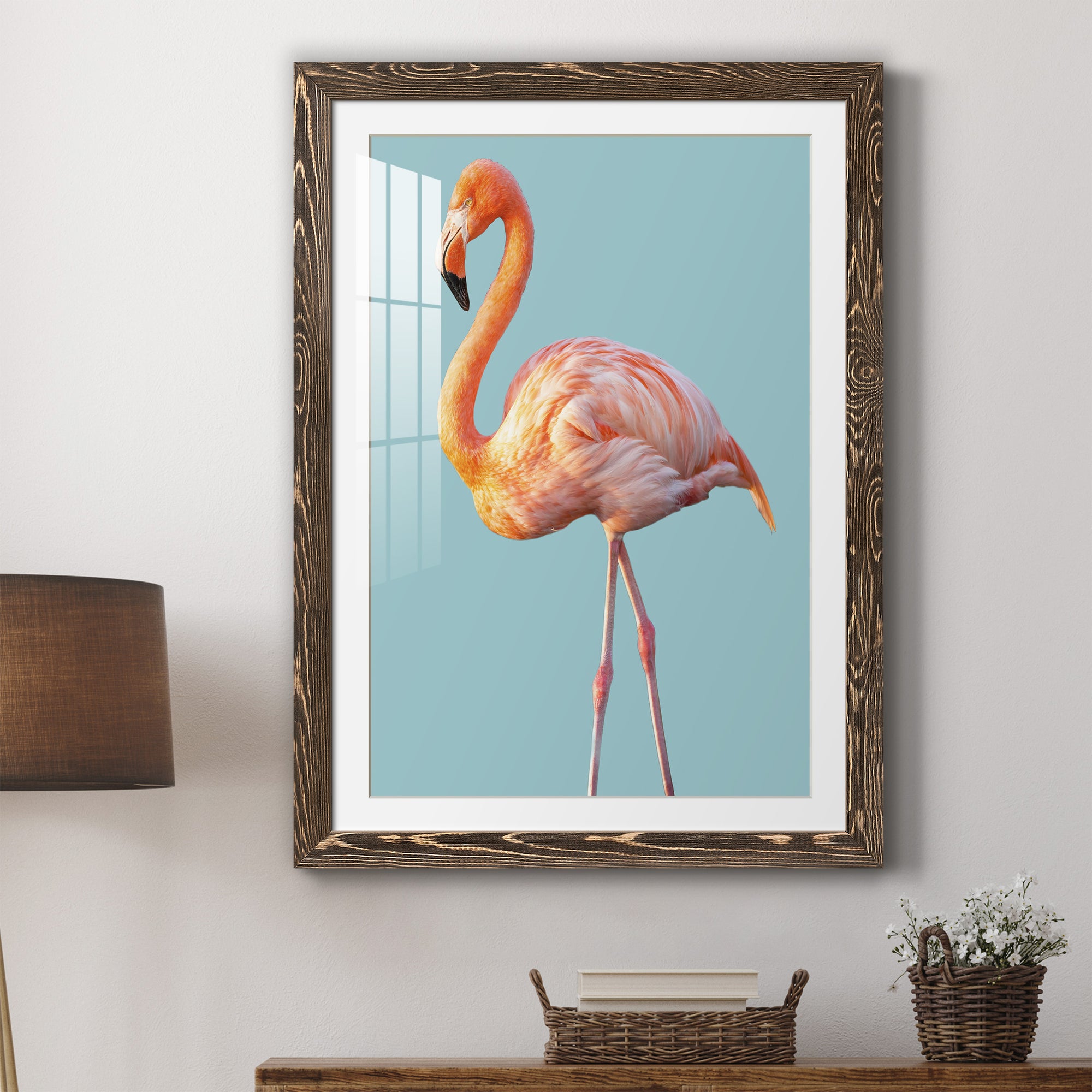 Flamingo - Barnwood