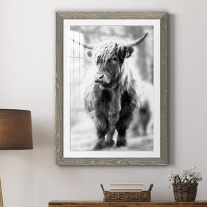 Yorkshire Highland - Premium Framed Print - Distressed Barnwood Frame - Ready to Hang