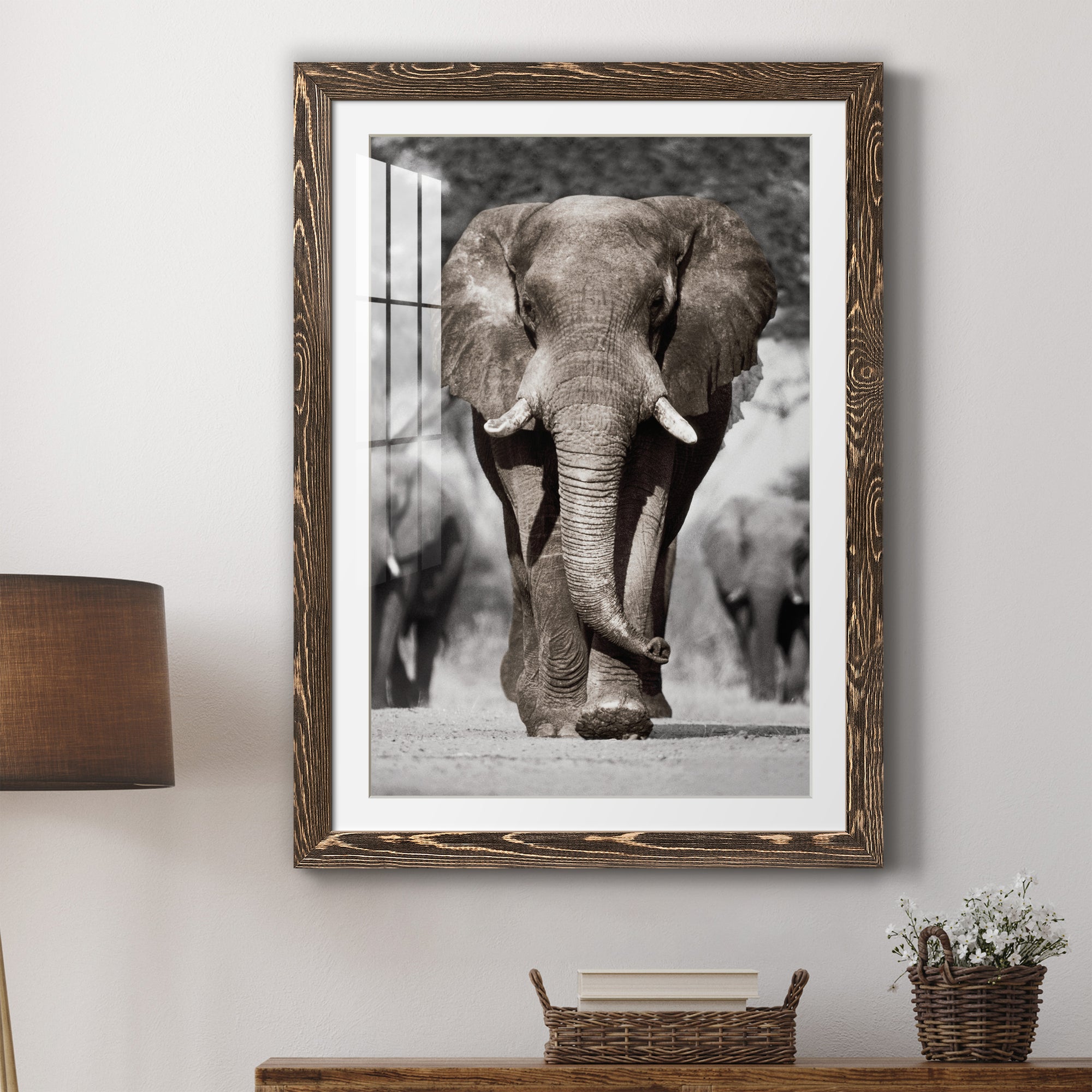 Botswana Patriarch - Barnwood Framed Art Print
