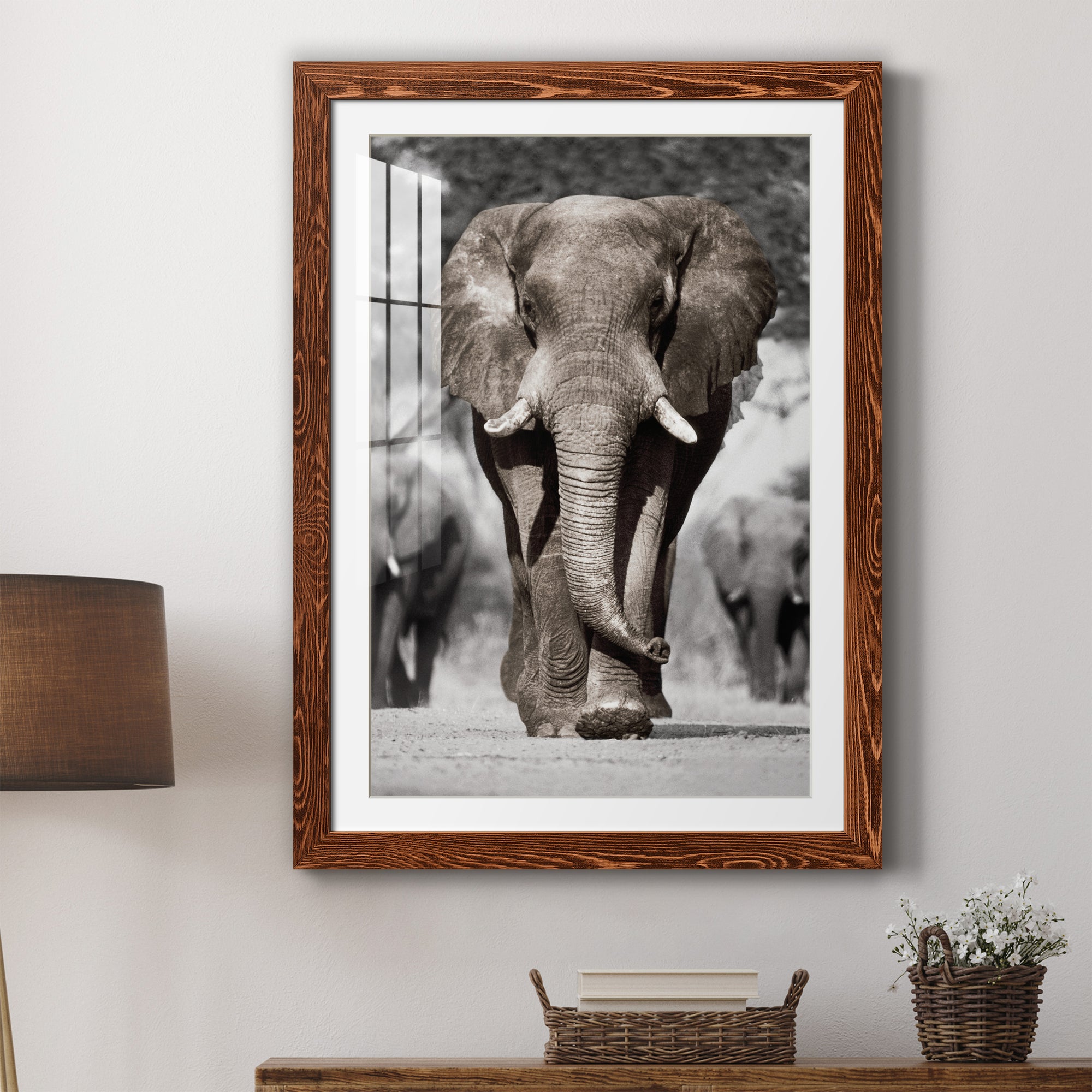 Botswana Patriarch - Barnwood Framed Art Print