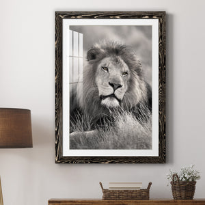 Pride of the Pride - Barnwood Framed Art Print