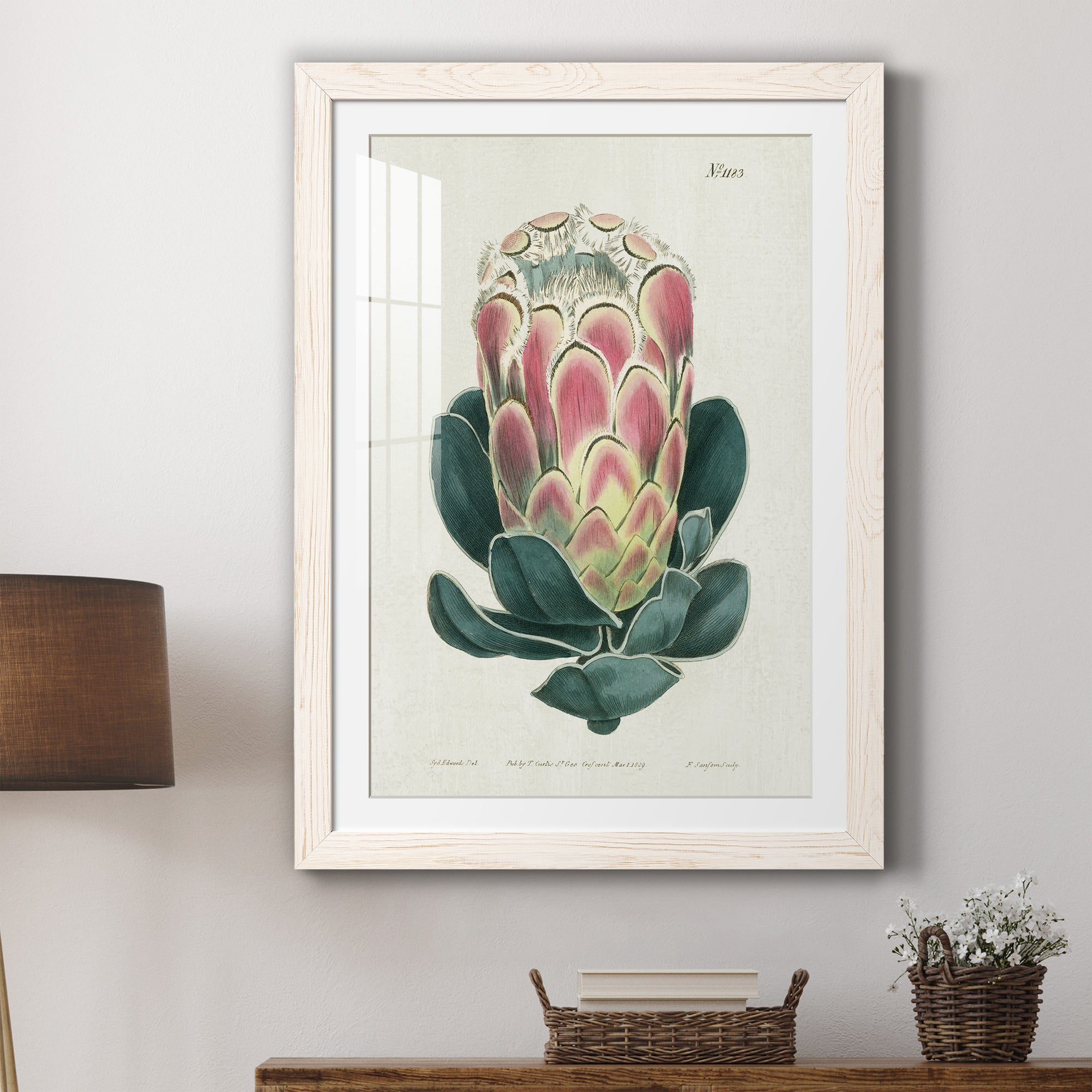 Protea N83 - Barnwood Framed Art Print