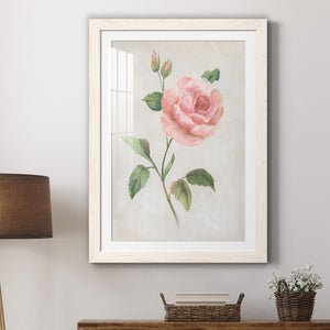 Grandiflora I - Barnwood Framed Art Print