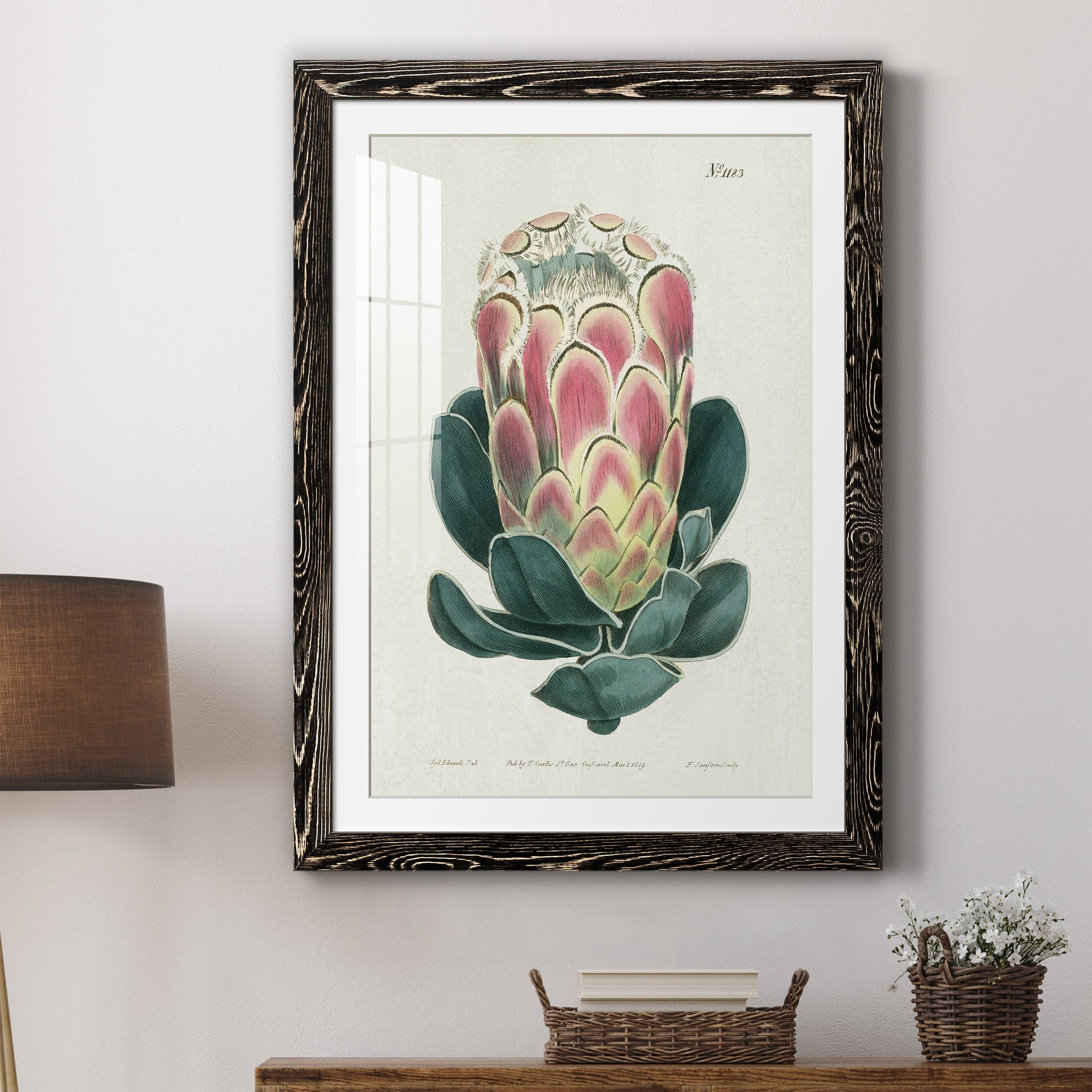 Protea N83 - Barnwood Framed Art Print