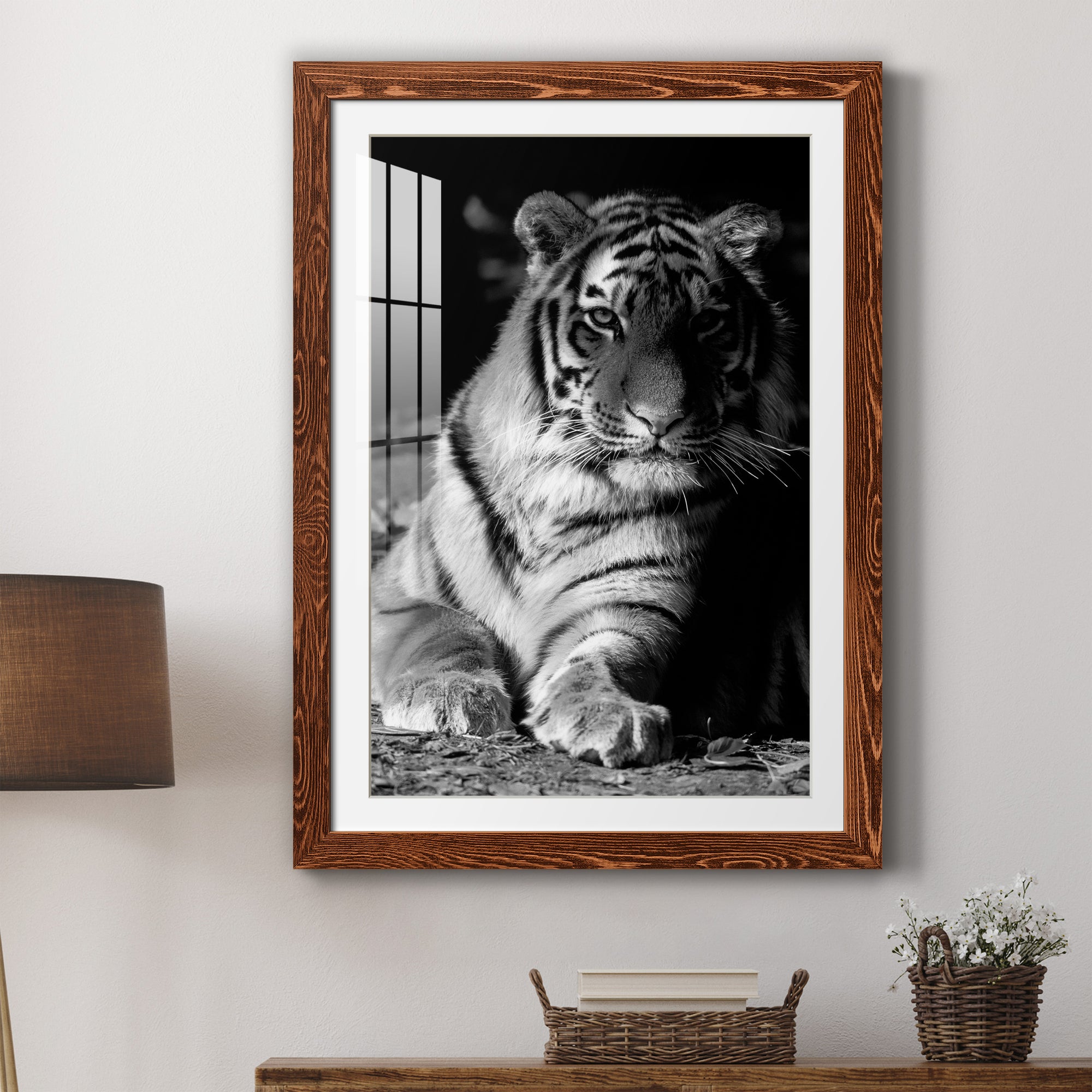 Tiger Repose - Barnwood Framed Art Print