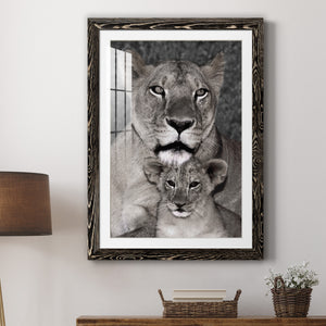 Lioness and Cub - Barnwood Framed Art Print