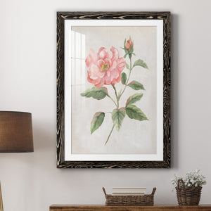 Grandiflora II - Barnwood Framed Art Print