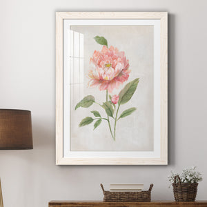 Grandiflora III - Barnwood Framed Art Print