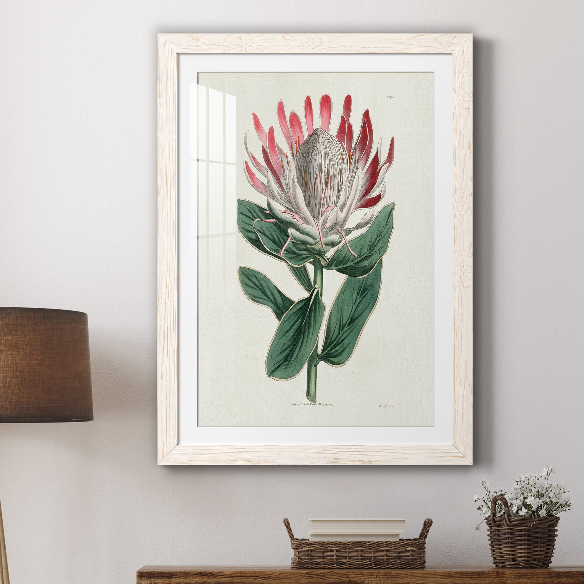 Protea N13 - Barnwood Framed Art Print