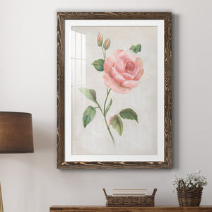 Grandiflora I - Barnwood Framed Art Print