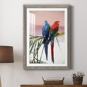 Palm Parrots - Barnwood