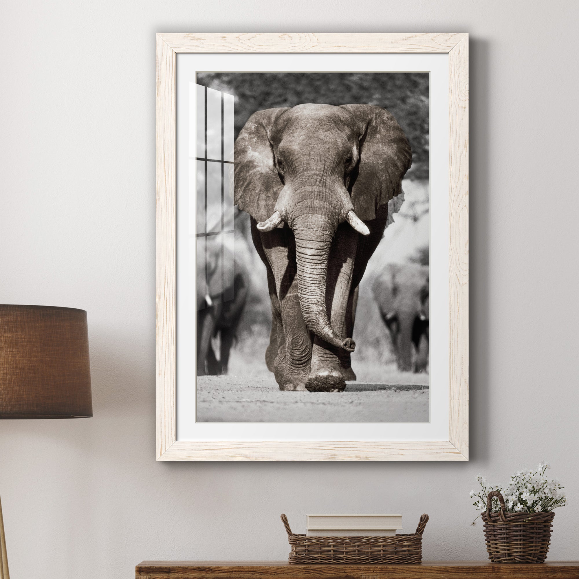 Botswana Patriarch - Barnwood Framed Art Print