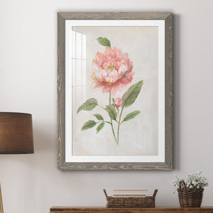Grandiflora III - Barnwood Framed Art Print