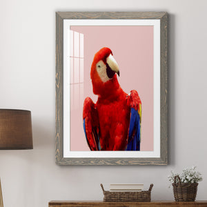 Honduras Wildlife - Barnwood